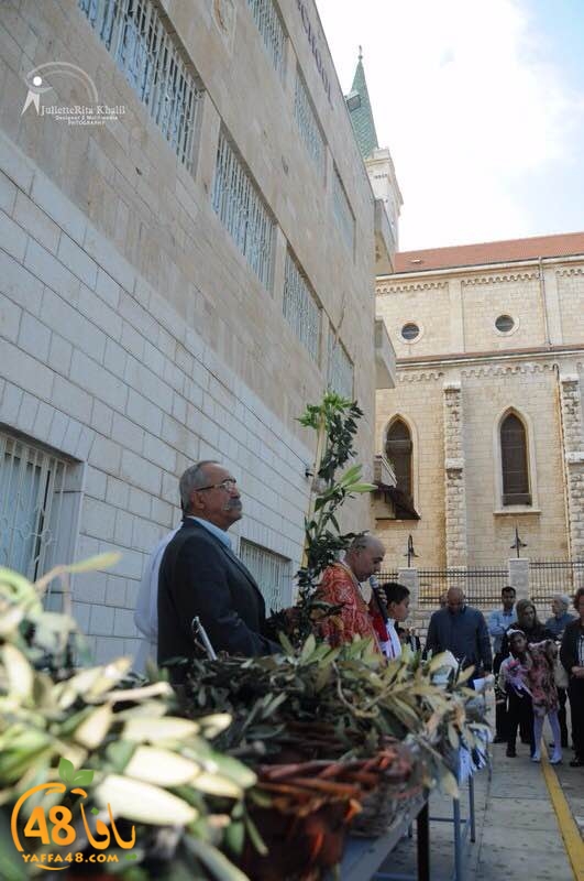 masrira latinyafa (5).JPG